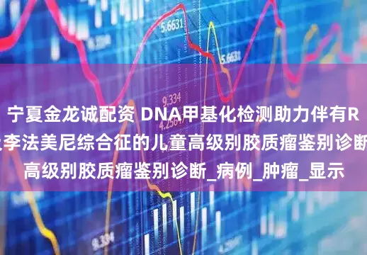 宁夏金龙诚配资 DNA甲基化检测助力伴有RB1/SETD2变异及李法美尼综合征的儿童高级别胶质瘤鉴别诊断_病例_肿瘤_显示