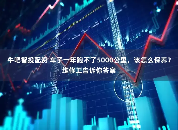 牛吧智投配资 车子一年跑不了5000公里，该怎么保养？维修工告诉你答案